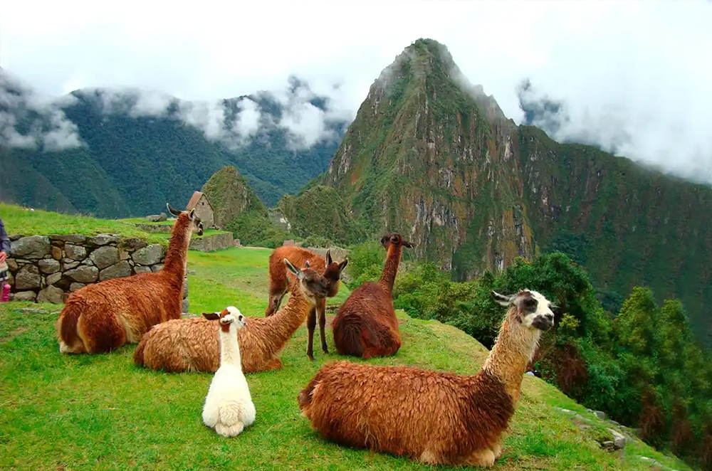 Experiencia TourPeruTravel